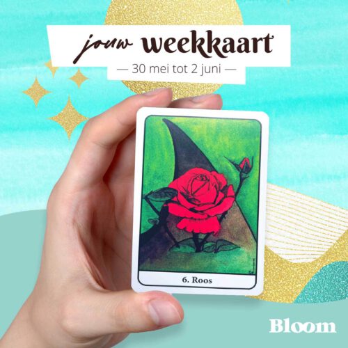 Weekkaart 30/05/2022 - 02/06/2022
