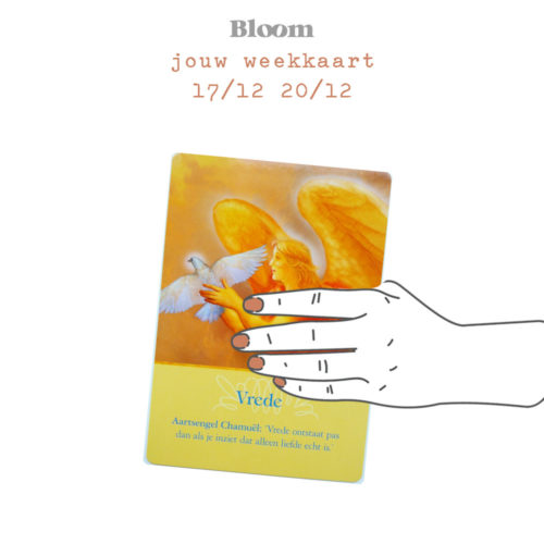 Weekkaart 17/12/2018 - 20/12/2018