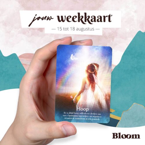 Week Engelenkaart 15/08/2022 - 18/08/2022