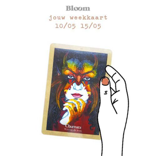 Weekkaart 10/05/2021 - 15/05/2021
