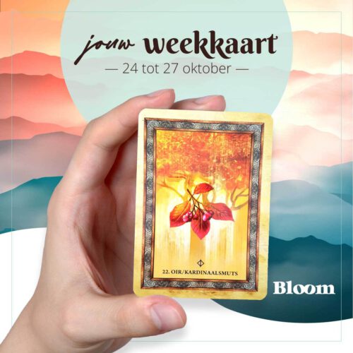 Weekkaart 24/10/2022 - 27/10/2022