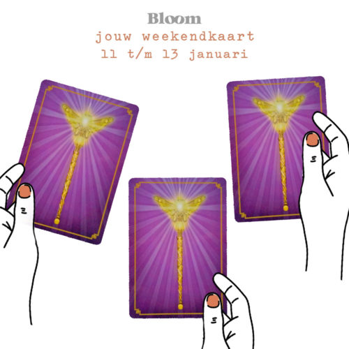 Weekendkaart 11/01/2019 - 13/01/2019