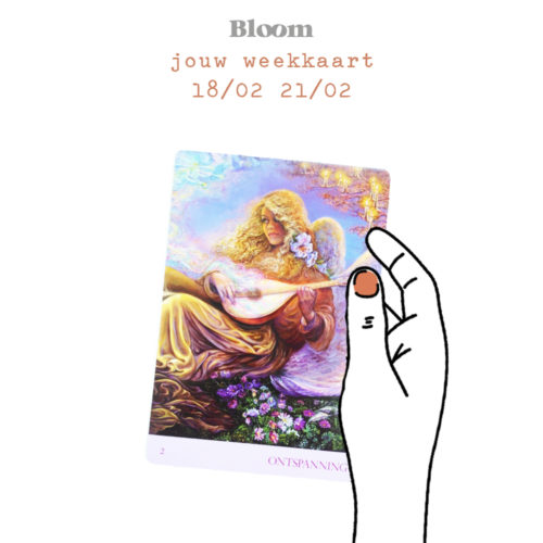 Weekkaart 18/02/2019 - 21/02/2019