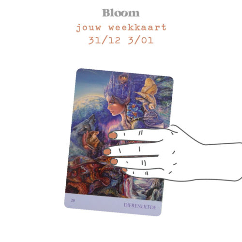 Weekkaart 31/12/2018 - 3/01/2019