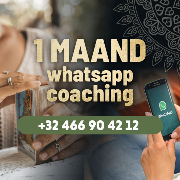 1 maand nummer Bloom Whats App Chat