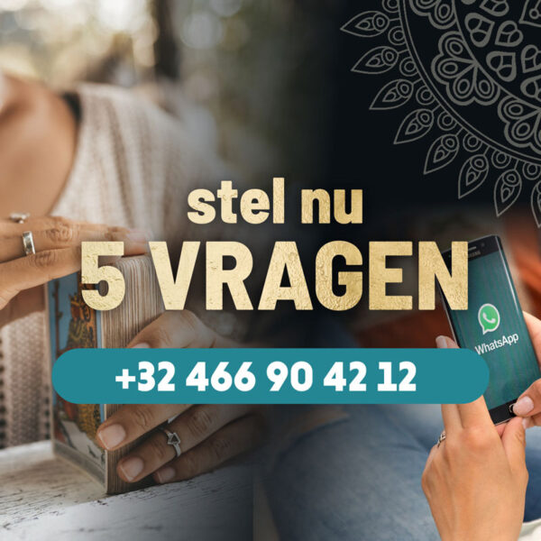 5 vragen nummer website Bloom Whats App Chat Medium