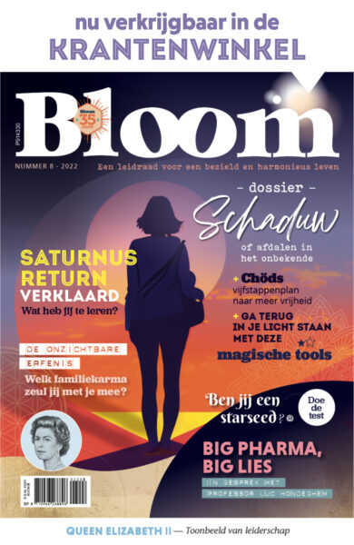 Bloom 2208 cover met balk bovenaan