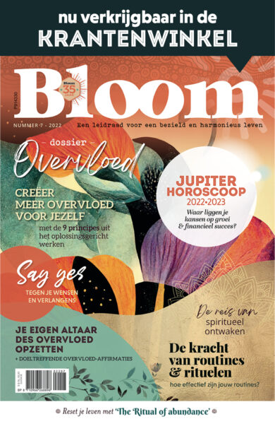 Bloom cover met balk bovenaan 2207