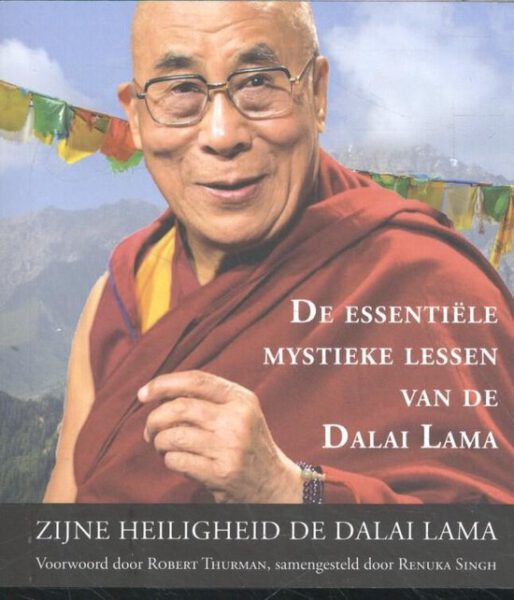 De essentiële mystieke lessen van de Dalai Lama Boek