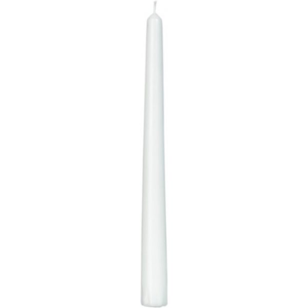 Gotische kaars 24 cm WIT voor rituelen Bloom Web