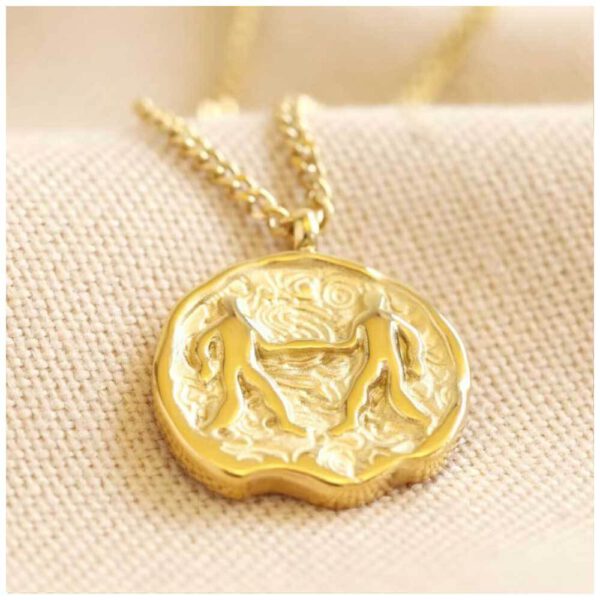 Zodiac Ketting Bloom Webshop Tweeling