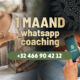 1 maand nummer Bloom Whats App Chat