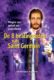 De 8 healingcodes van Saint Germain Dominique Tuyaerts 9789460151705 boek Bloom web