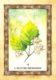 Het Orakel Van De Keltische Bomen Sharlyn Hidalgo kaart Meiboom Bloom Web