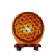 Himalaya Zoutlamp kristal lamp symbool Bloem des Levens 5 kg Bloom Webshop