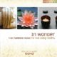 In Wonder Osho Meditation Cd 0714266920926 Muziek Bloom Web