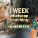 1 week nummer Bloom Whats App Chat