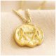 Zodiac Ketting Bloom Webshop Tweeling